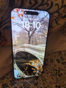 iphone 16 pro max 256GB