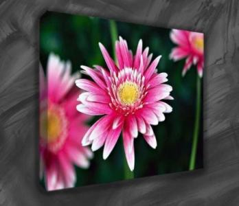 Black Edged Canvas Prints - Add Elegance and Style to Your Home