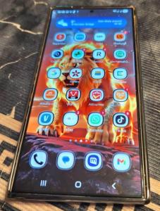 Samsung S24 Ultra, 256gb-22gb, Stylus, , Skin, Screen Protector