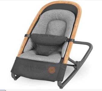 Best Baby Bouncer Chair