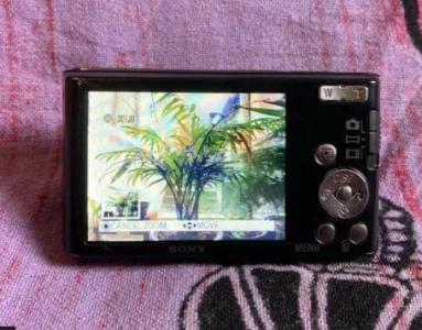 Sony Cyber-shot DSC-W830