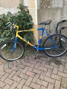 Raleigh Mountain Bike Team Edition