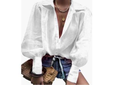 LoVnely Women's *** Deep V Neck Solid Blouse0916