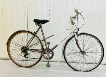 Beautiful RALEIGH Ladies Road Bike Medium Frame, 10 Sped Lightweight, Full Mudgaurds