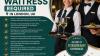 Waiter/Waitress required in london