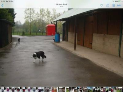 Storage Unit & to rent in B48 7DX Alvechurch