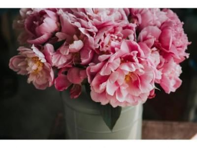 Importance of sympathy flowers