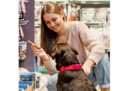 Wholesale Pet Products in Manchester