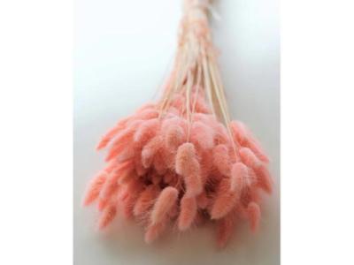 A beautiful bouquet of dried flowers gift for Christmas