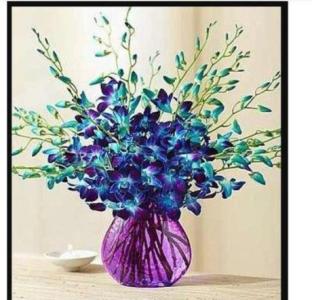 flower shop in playa de rey for sale